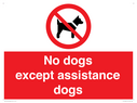 no-dogs-except-assistance-dogs~